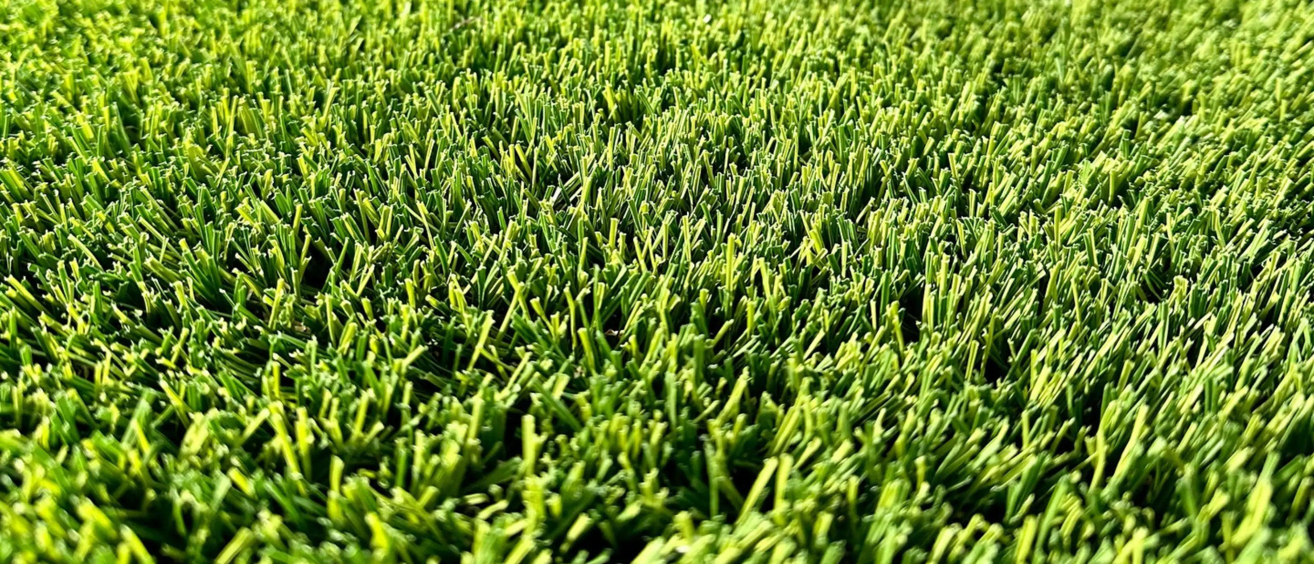 close up of synlawn artificial turf